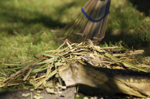 Lawn-Rake-Detail-478388715