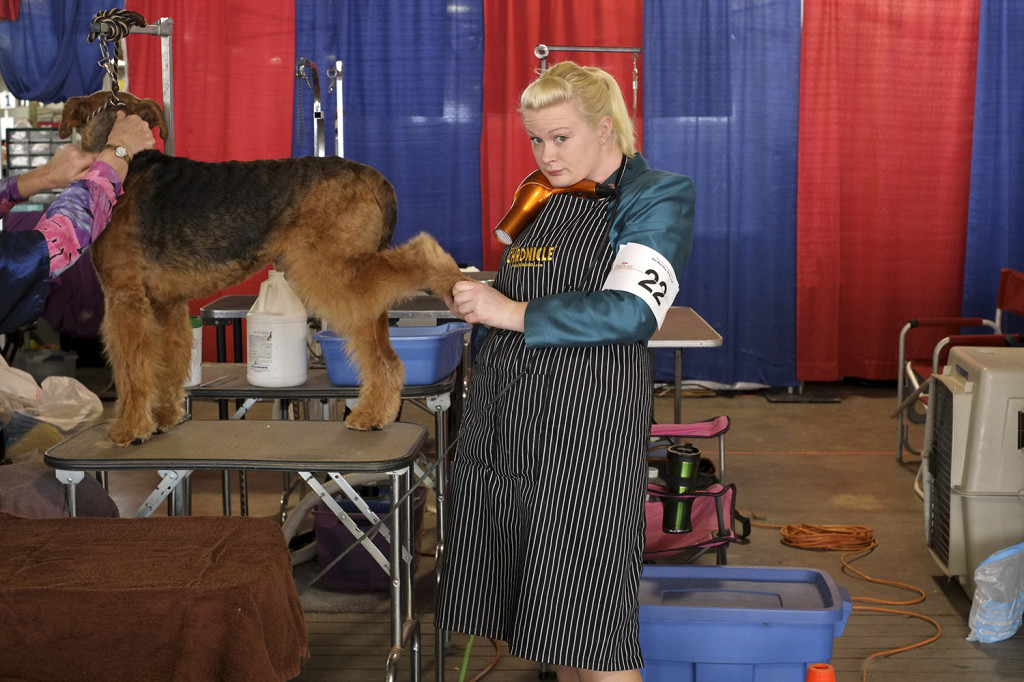 SALT CITY SPRING CLUSTER DOG SHOW 2014