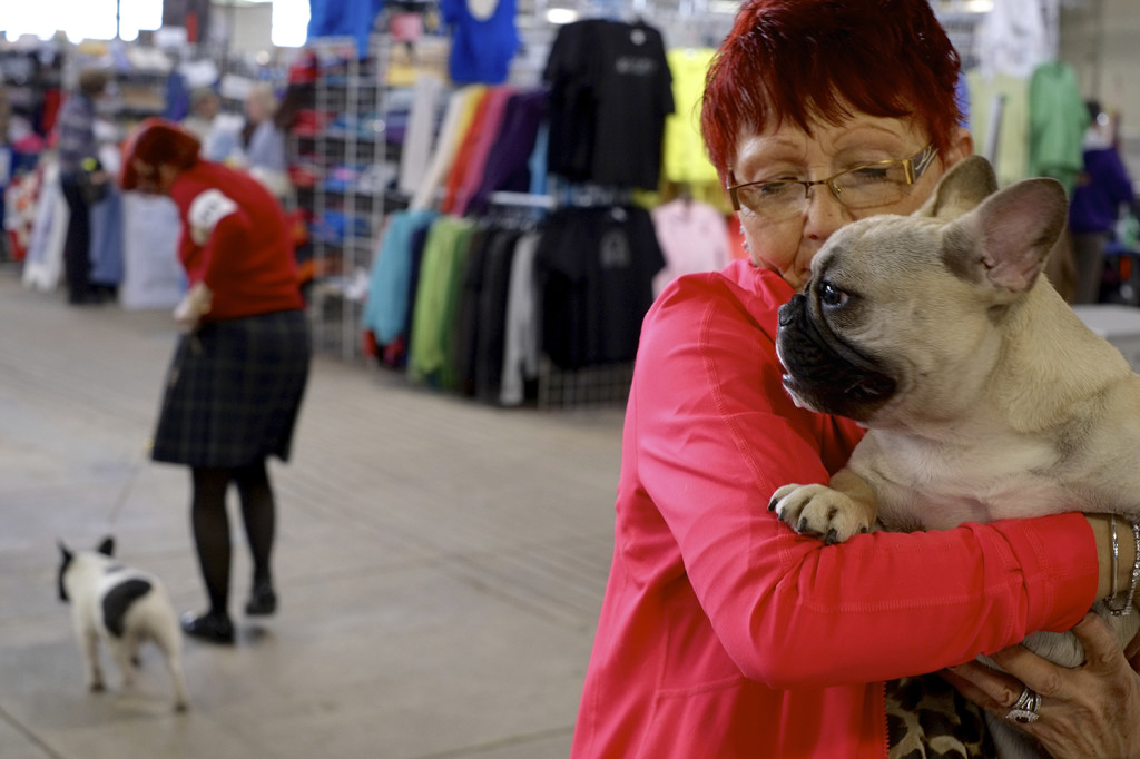 SALT CITY SPRING CLUSTER DOG SHOW 2014