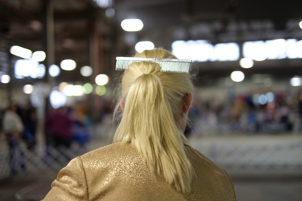 SALT CITY SPRING CLUSTER DOG SHOW 2014