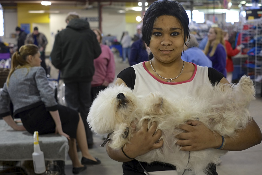 SALT CITY SPRING CLUSTER DOG SHOW 2014