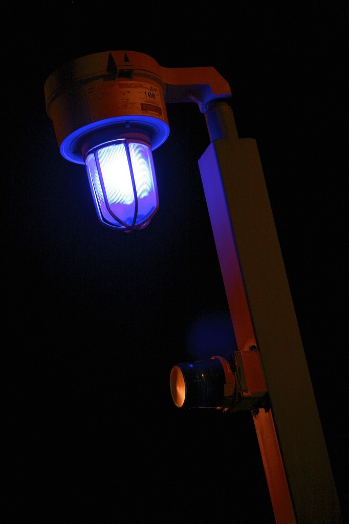 SAFETY/SECURITY LIGHT SU CAMPUS