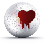 Heartbleed-NYTOption