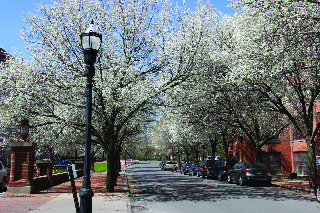 Franklin Square