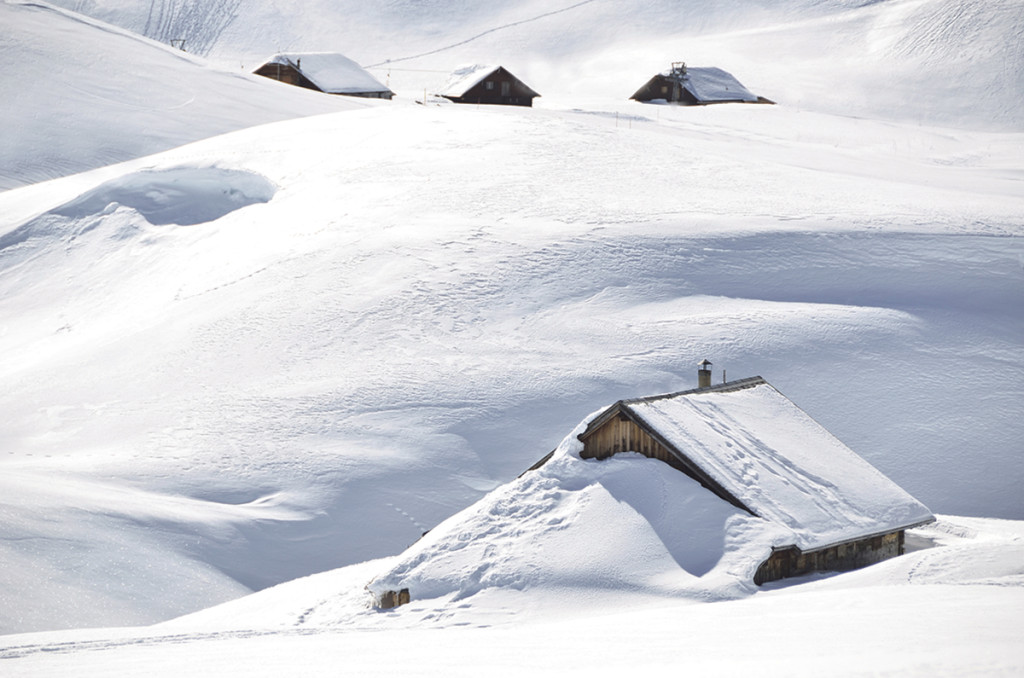 Photo from Thinkstock