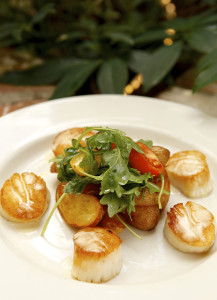 Pan Seared Sea Scallops PHOEBE'S