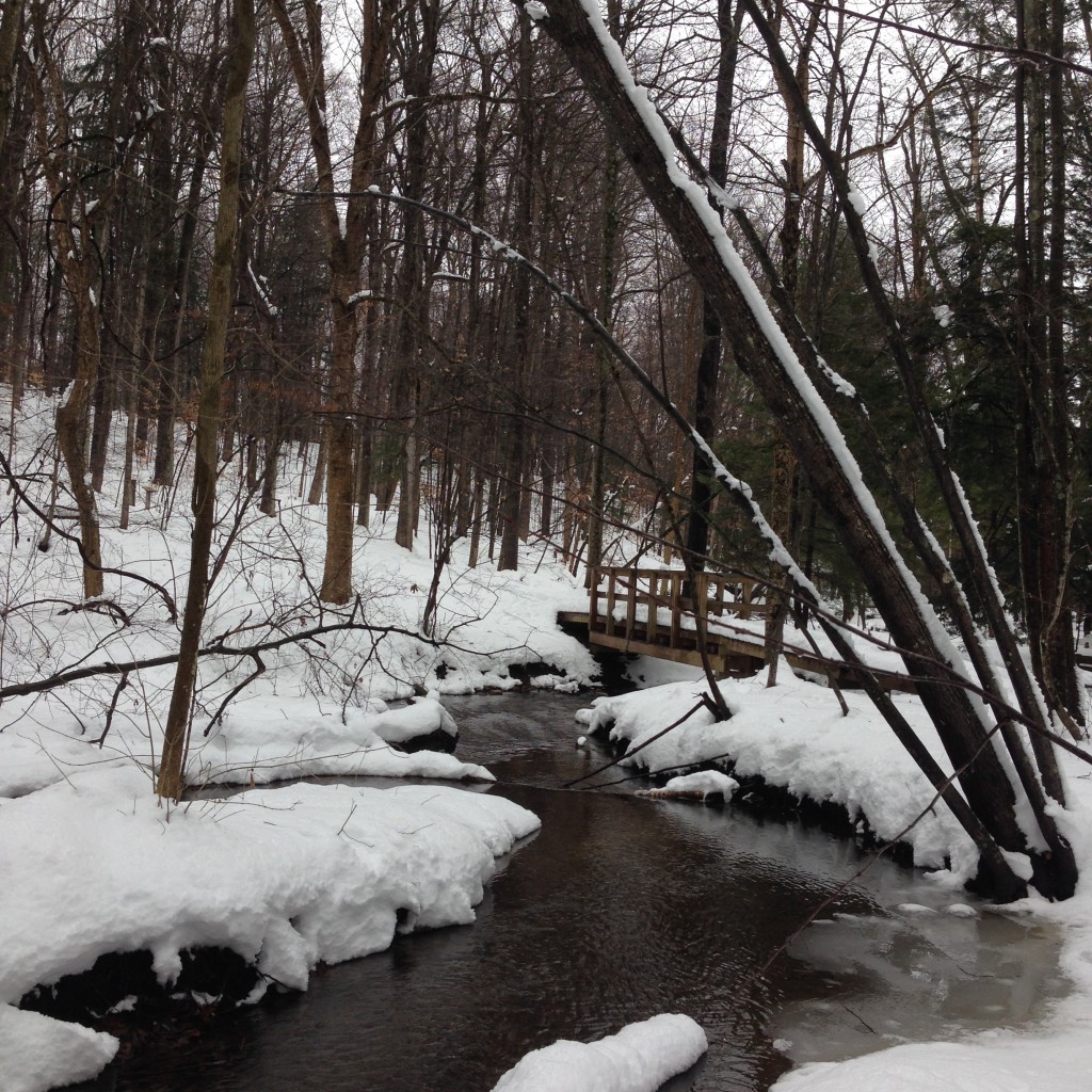 Baltimore Woods