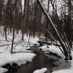Baltimore Woods