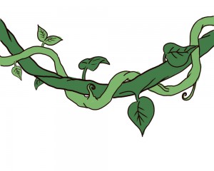 Draw-a-Jungle-Vine-Step-7
