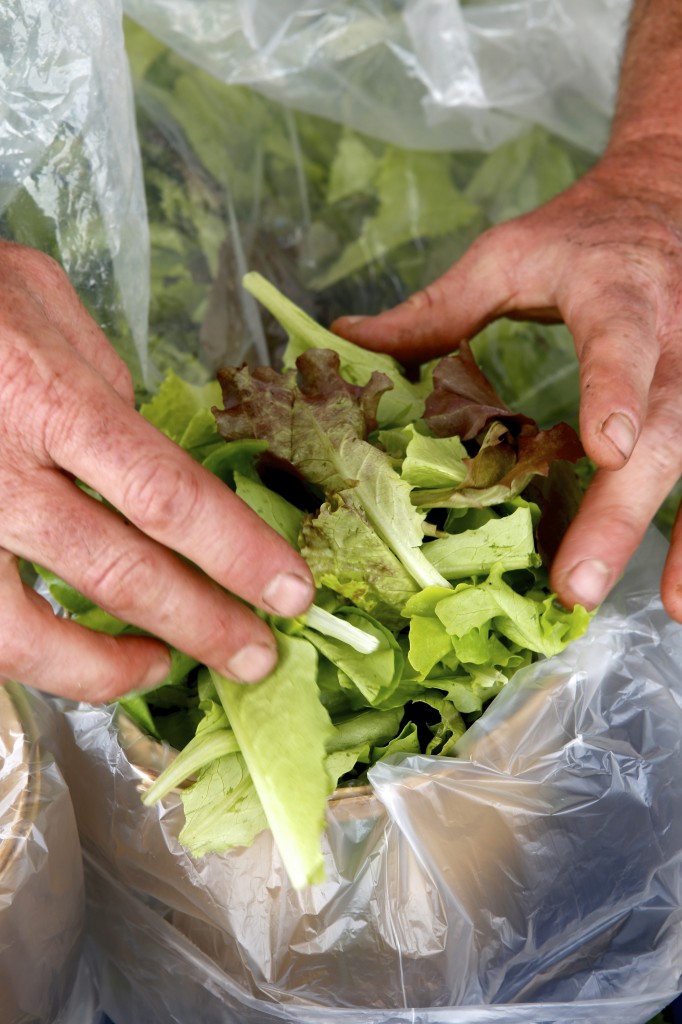 Fayetteville Farmers Market. Michael Davis Photo | Syracuse New Times