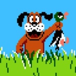 duck-hunt