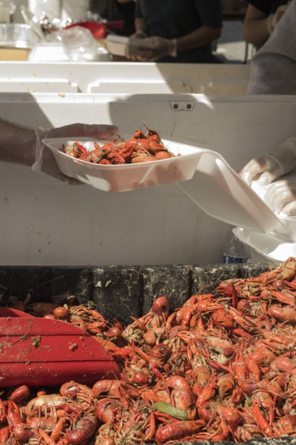 A gloved hand passes a full container of crawfish over to another server. The cooked mudbugs are being shoveled out of a large tray.