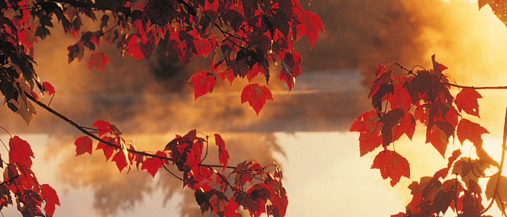 Autumn | Syracuse New Times